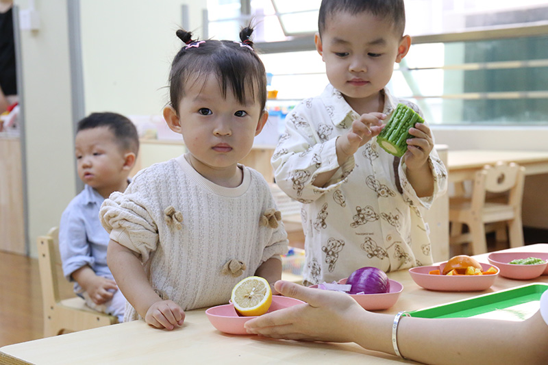 托育中心课堂 托育中心课堂